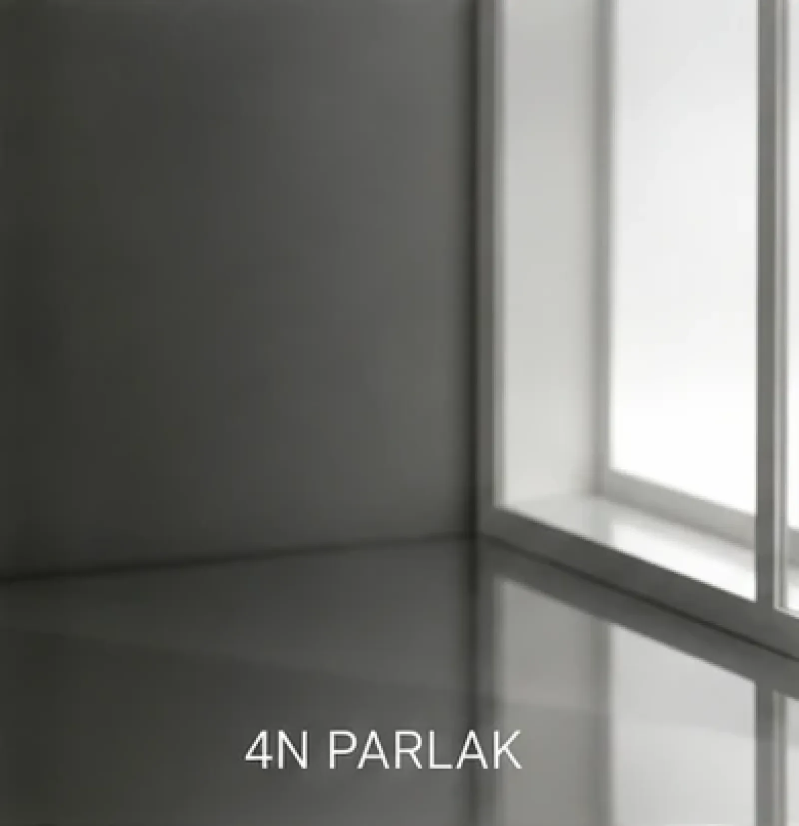 4N Parlak